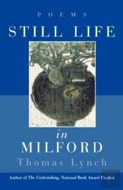 Still Life In Milford
