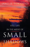 Still Life In The Midst Of Small Shadows