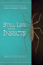 Still Life With Insects