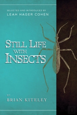 Bertrand.pt - Still Life With Insects