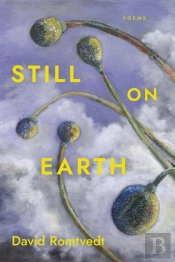 Still On Earth