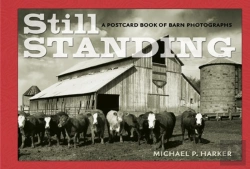 Bertrand.pt - Still Standing