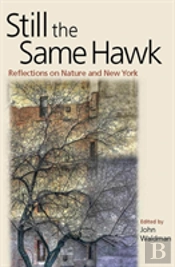 Still The Same Hawk