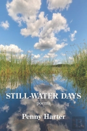 Still-Water Days