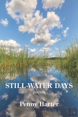 Bertrand.pt - Still-Water Days