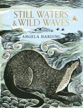 Still Waters & Wild Waves