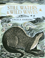 Still Waters & Wild Waves