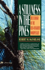 Stillness In The Pines