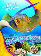 Stingrays