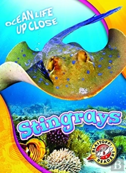 Bertrand.pt - Stingrays