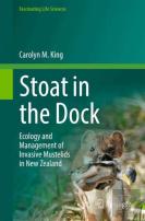 Stoat In The Dock
