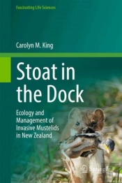 Stoat In The Dock