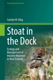 Stoat In The Dock
