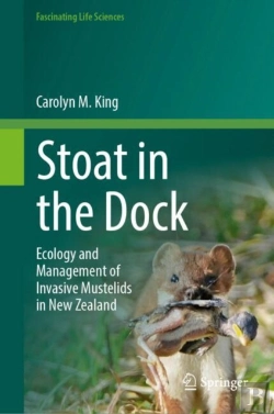 Bertrand.pt - Stoat In The Dock