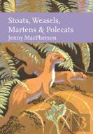 Stoats, Weasels, Martens And Polecats