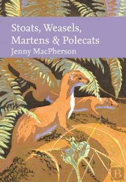 Bertrand.pt - Stoats, Weasels, Martens And Polecats