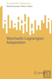 Stochastic Lagrangian Adaptation