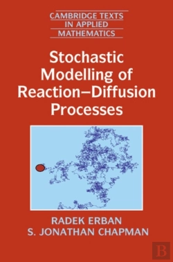Bertrand.pt - Stochastic Modelling Of Reaction-Diffusion Processes