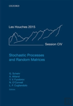 Bertrand.pt - Stochastic Processes And Random Matrices