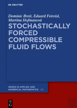 Bertrand.pt - Stochastically Forced Compressible Fluid Flows