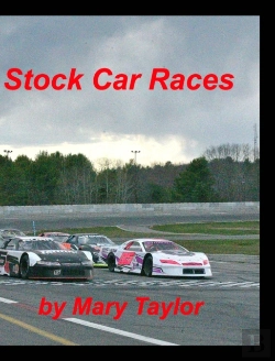 Bertrand.pt - Stock Car Races