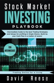 Stock Market Investing Playbook: Interme