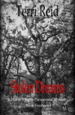 Bertrand.pt - Stolen Dreams - A Mary O'Reilly Paranormal Mystery - Book Fourteen