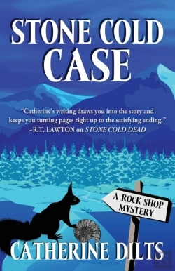 Bertrand.pt - Stone Cold Case