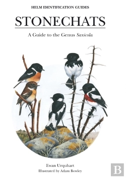 Bertrand.pt - Stonechats