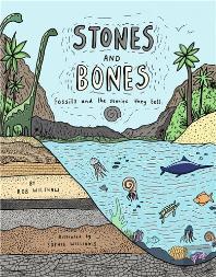 Stones And Bones