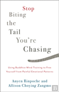 Bertrand.pt - Stop Biting The Tail You'Re Chasing