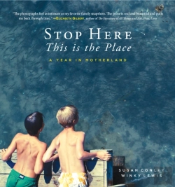 Bertrand.pt - Stop Here, This Is The Place