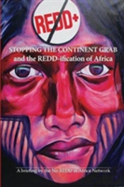 Stopping The Continent Grab And The Redd-Ification Of Africa