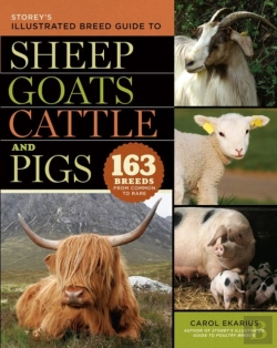 Bertrand.pt - Storey'S Illustrated Breed Guide To Sheep, Goats, Cattle And Pigs
