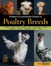 Storey'S Illustrated Guide To Poultry Breeds