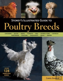 Bertrand.pt - Storey'S Illustrated Guide To Poultry Breeds