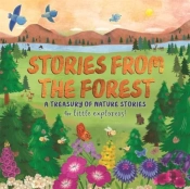 Stories From The Forest
