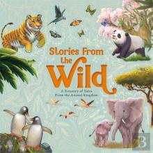 Stories From The Wild