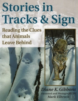 Bertrand.pt - Stories In Tracks And Sign