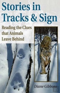 Bertrand.pt - Stories In Tracks & Sign