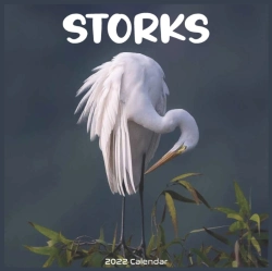 Bertrand.pt - Storks 2022 Calendar