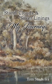 Storm Clouds And Silver Linings