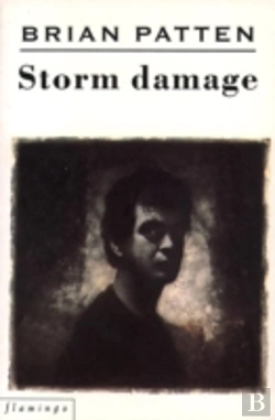 Bertrand.pt - Storm Damage