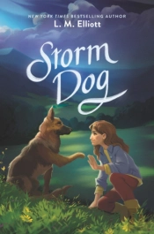 Storm Dog