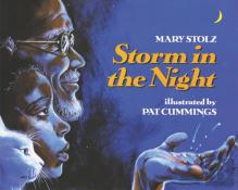 Storm In The Night