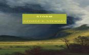 Storm