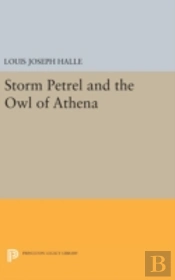 Storm Petrel And The Owl Of Athena