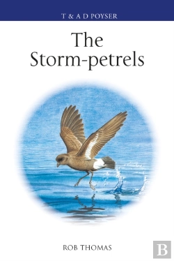 Bertrand.pt - Storm-Petrels