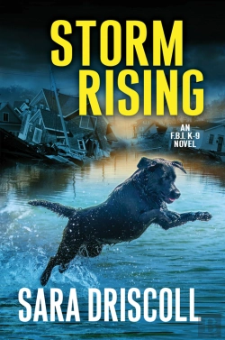 Bertrand.pt - Storm Rising