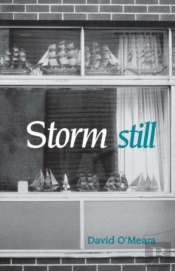 Storm Still